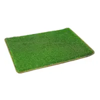 پادری چمن مصنوعی اسپرینگ 25 Mana Chaman