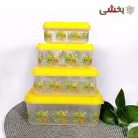 ظرف نگهدارنده 4 تکه مستطیل رزمن