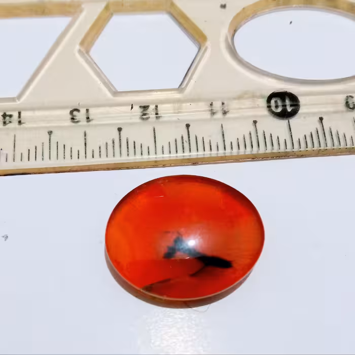 نگین عقیق سرخ خون کفتری دارای دل سیاه  