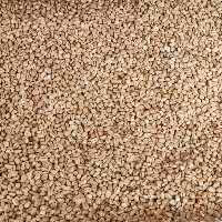 گندم حلیم (دو کیلو)