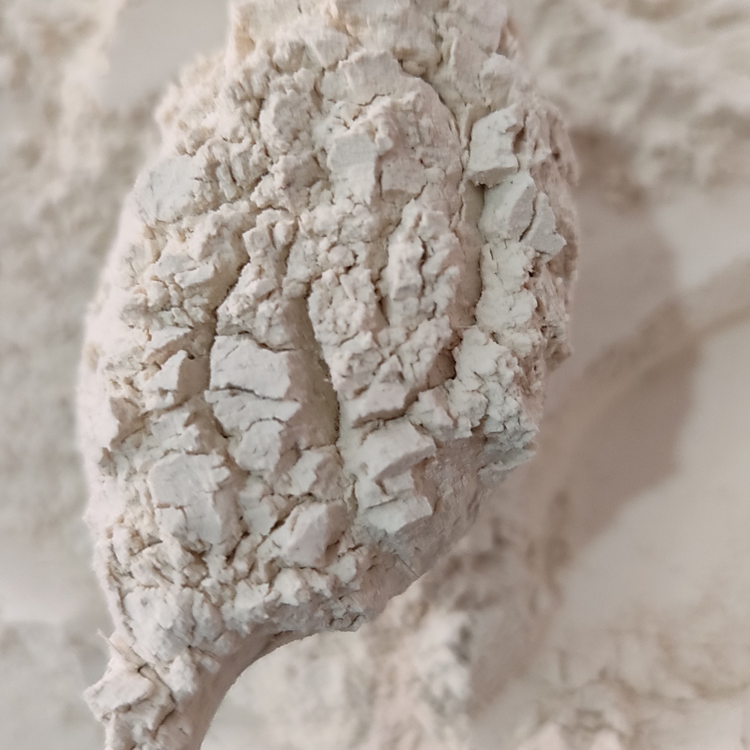 گرده نخل نر50گرمی(تقویت کننده قوای جنسی)