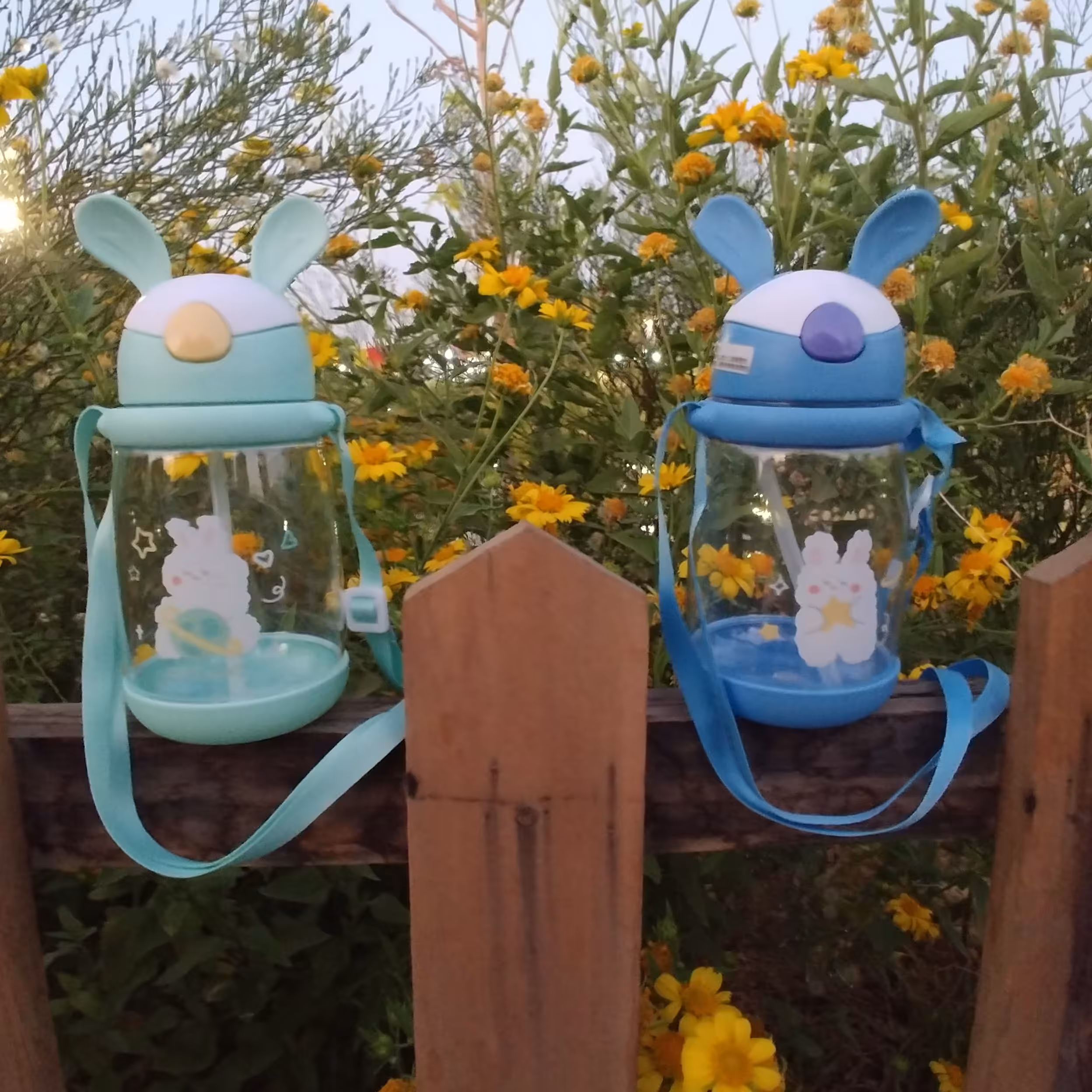 قمقمه خرگوشی