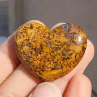 نگین سنگ شجر پاییزی با شجر های بسیار واضح و بسیار زیبا و خوش رنگ تراش قلب دو طرفه کد 10170