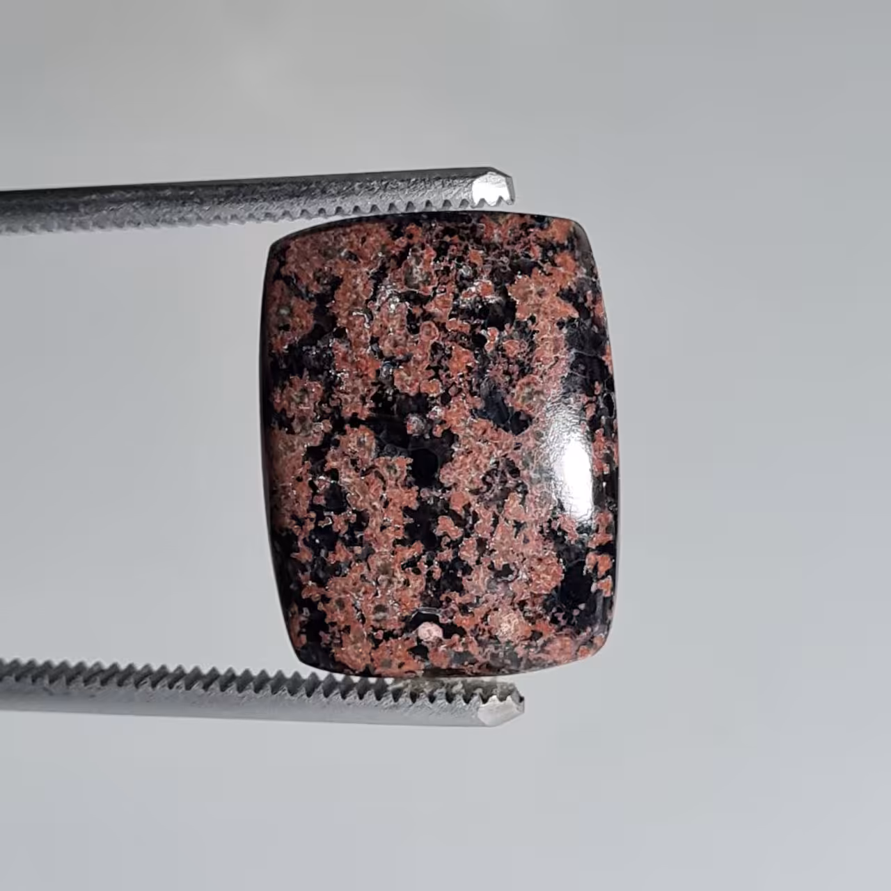 نبولا جاسپر