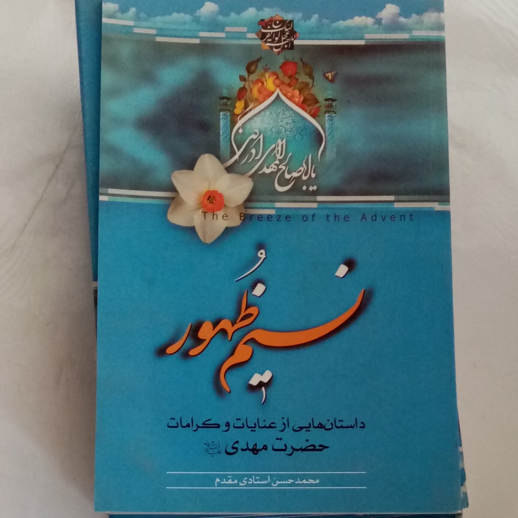 نسیم ظهور، کرامات
