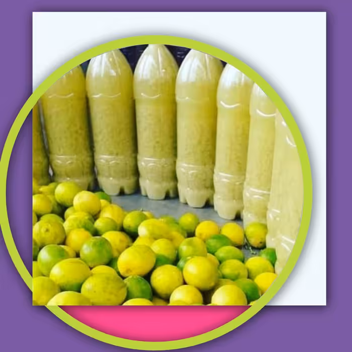 بسته 10 عددی آبلیمو خالص خانگی یک لیتری، عمده سرای یاس