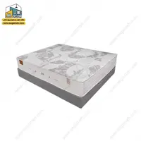 تشک برن مدل برلینا S/H