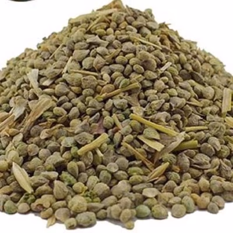 بذر اسفناج  200 گرمی خوراکی و کاشتنی 
