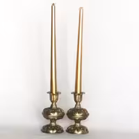 شمعدان زیبای دریا یک FBD1