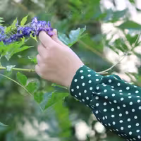 ساق دست خالدار سبز مها