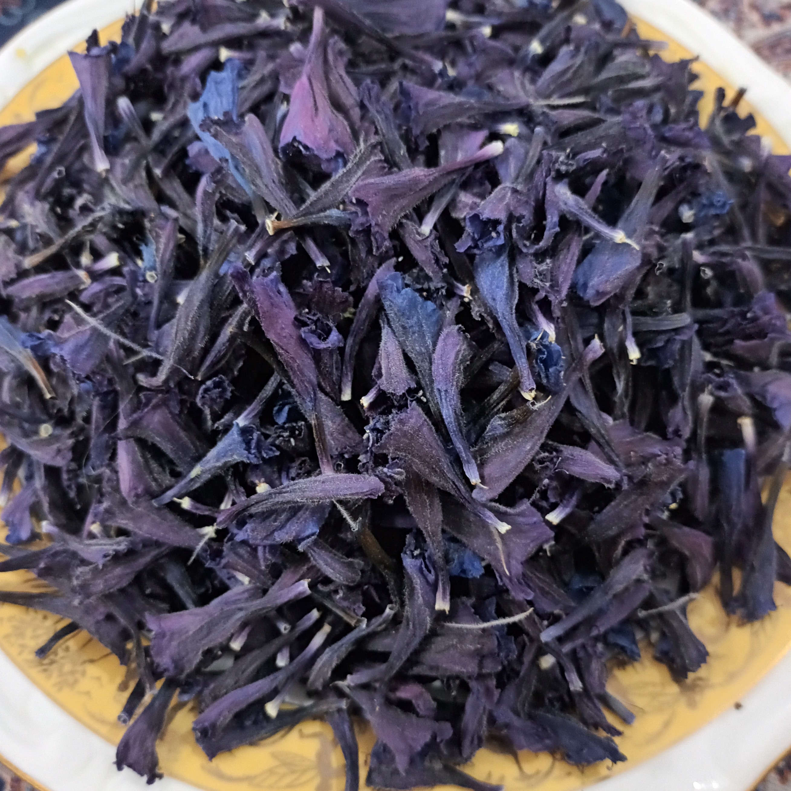 گل گاوزبان اعلا امسال
