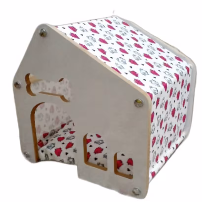 جی خواب سگ و گربه