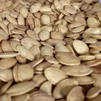 تخمه کدو دو آتیشه  بسته بندی 500 گرمی شالیزارصادق 