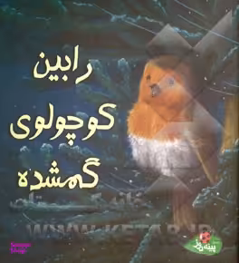 کتاب رابین کوچولوی گمشده اثر الیزابت باگولی انتشارات پینه دوز