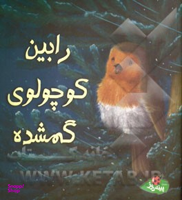 کتاب رابین کوچولوی گمشده اثر الیزابت باگولی انتشارات پینه دوز