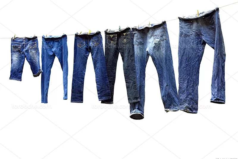 عکس انواع شلوار لی | گرافیک با طعم تربچه