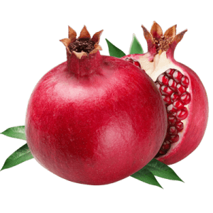 خرید نهال انار خفر شیراز
