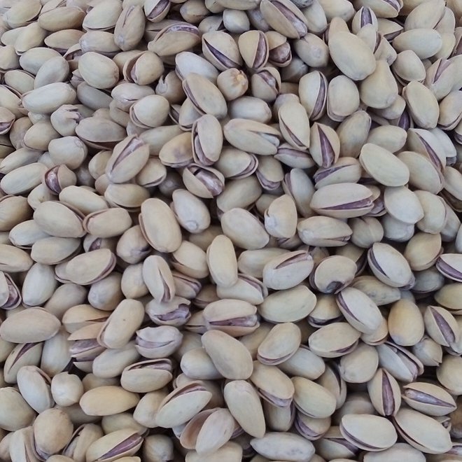 پسته احمد آقایی نمکی سنتی(1کیلوگرمی)