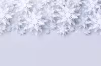 وکتور بلور های برفی | گرافیک با طعم تربچه