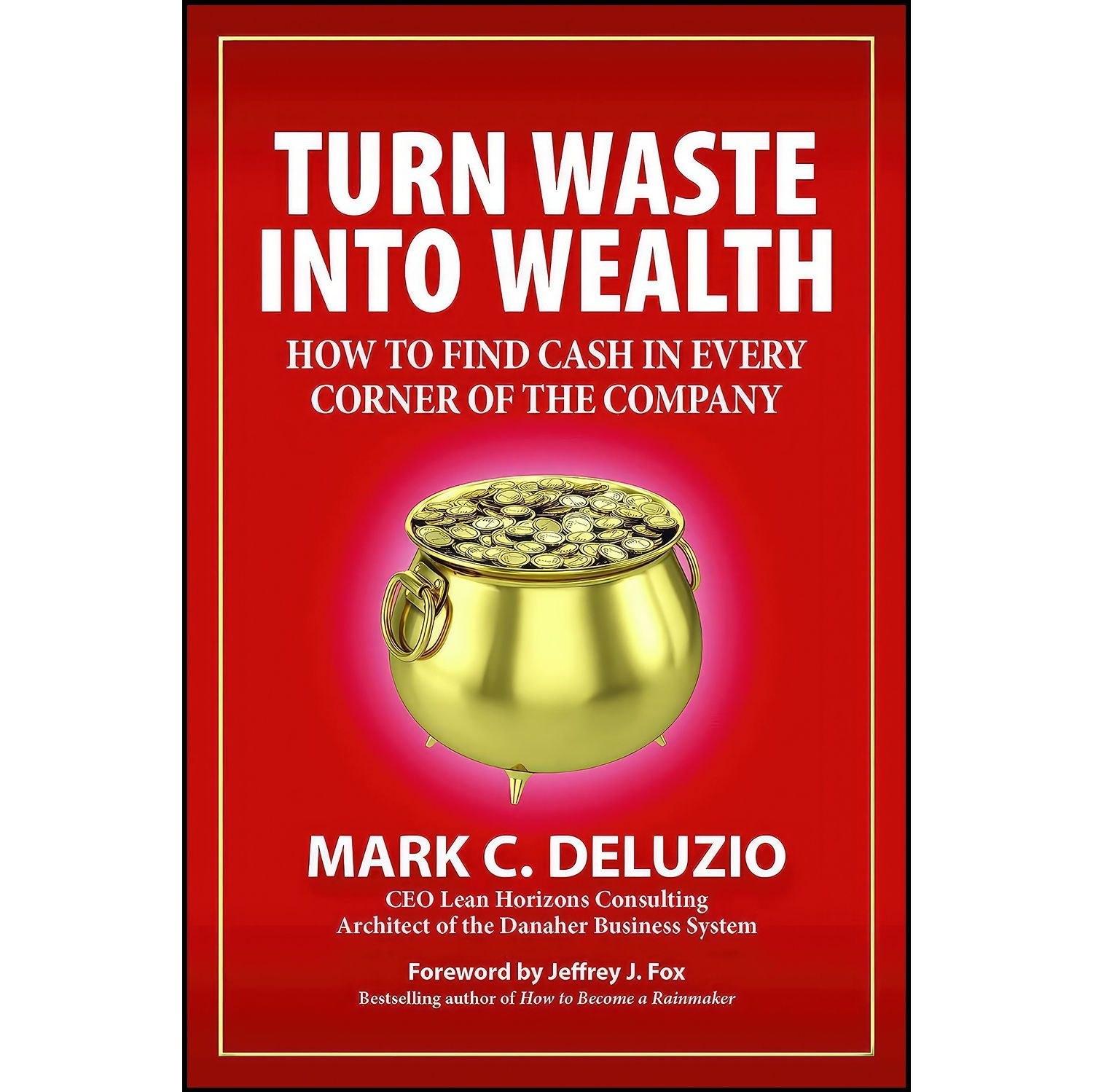 کتاب زبان اصلی Turn Waste into Wealth اثر Mark C DeLuzio