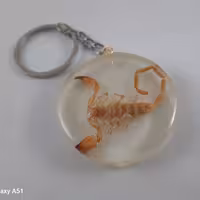 جاکلیدی عقرب رزینی شب تاب (سالسی)