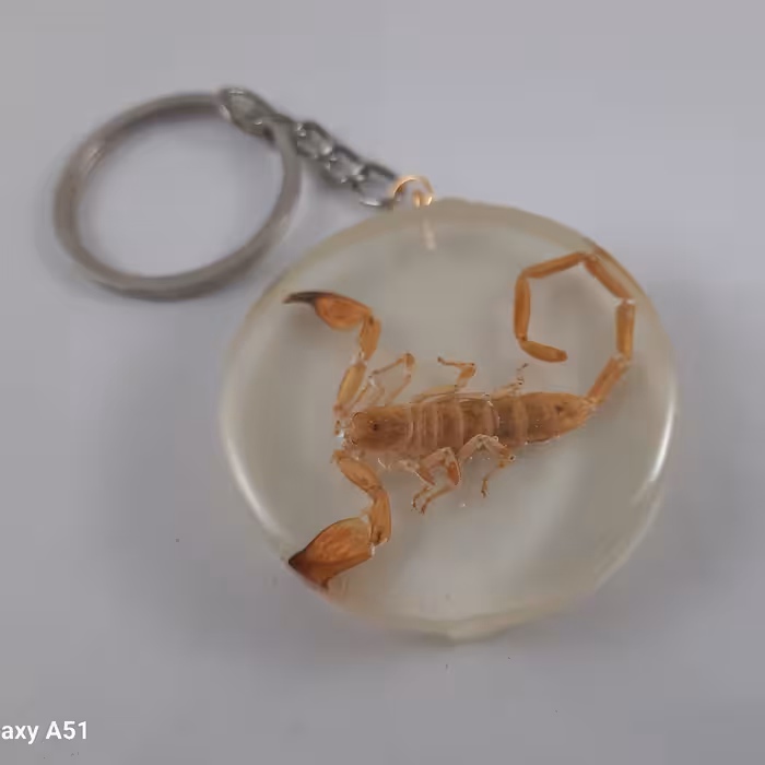 جاکلیدی عقرب رزینی شب تاب (سالسی)