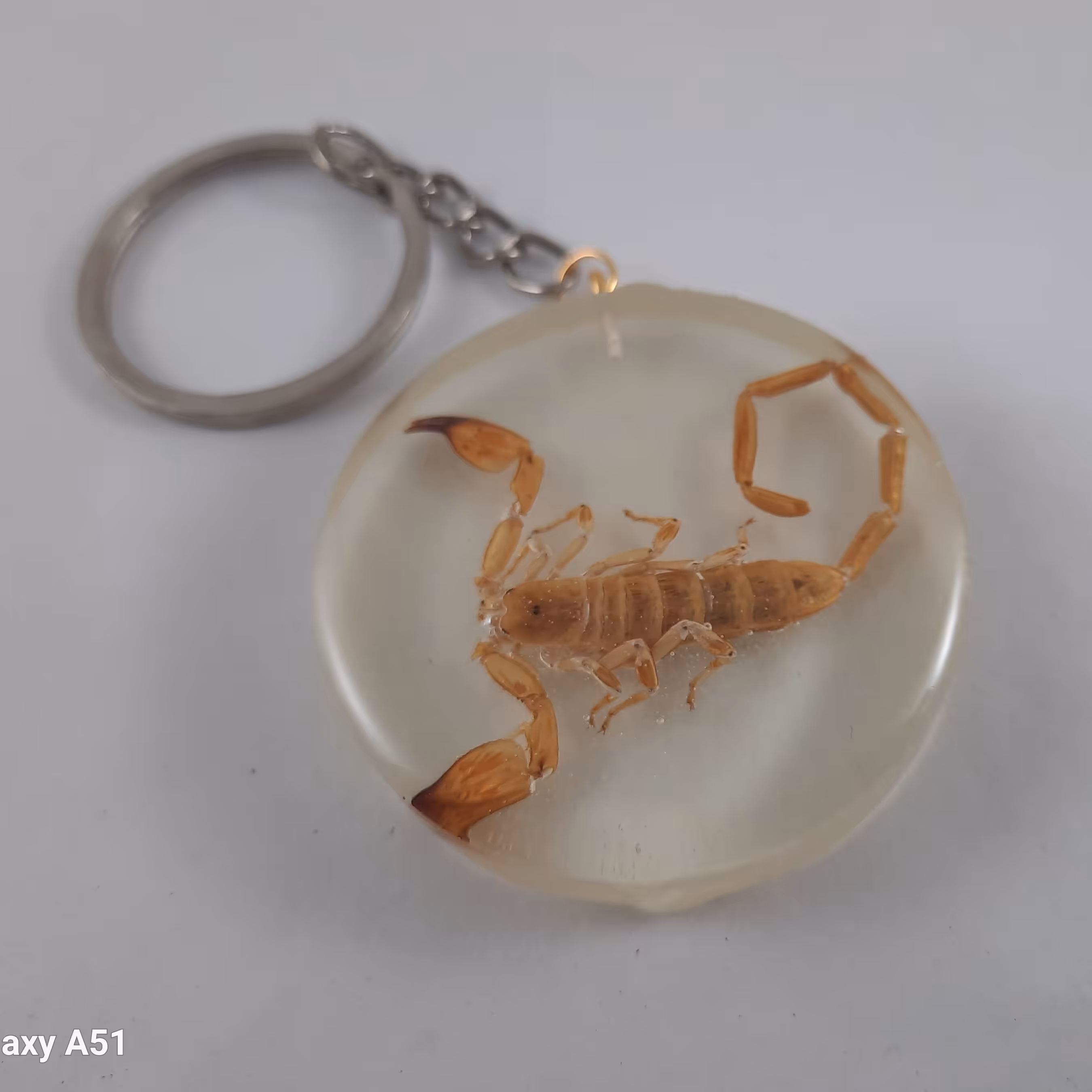 جاکلیدی عقرب رزینی شب تاب (سالسی)