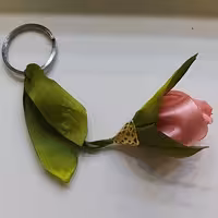 جاسوییچی های زیبا ی رز صورتی