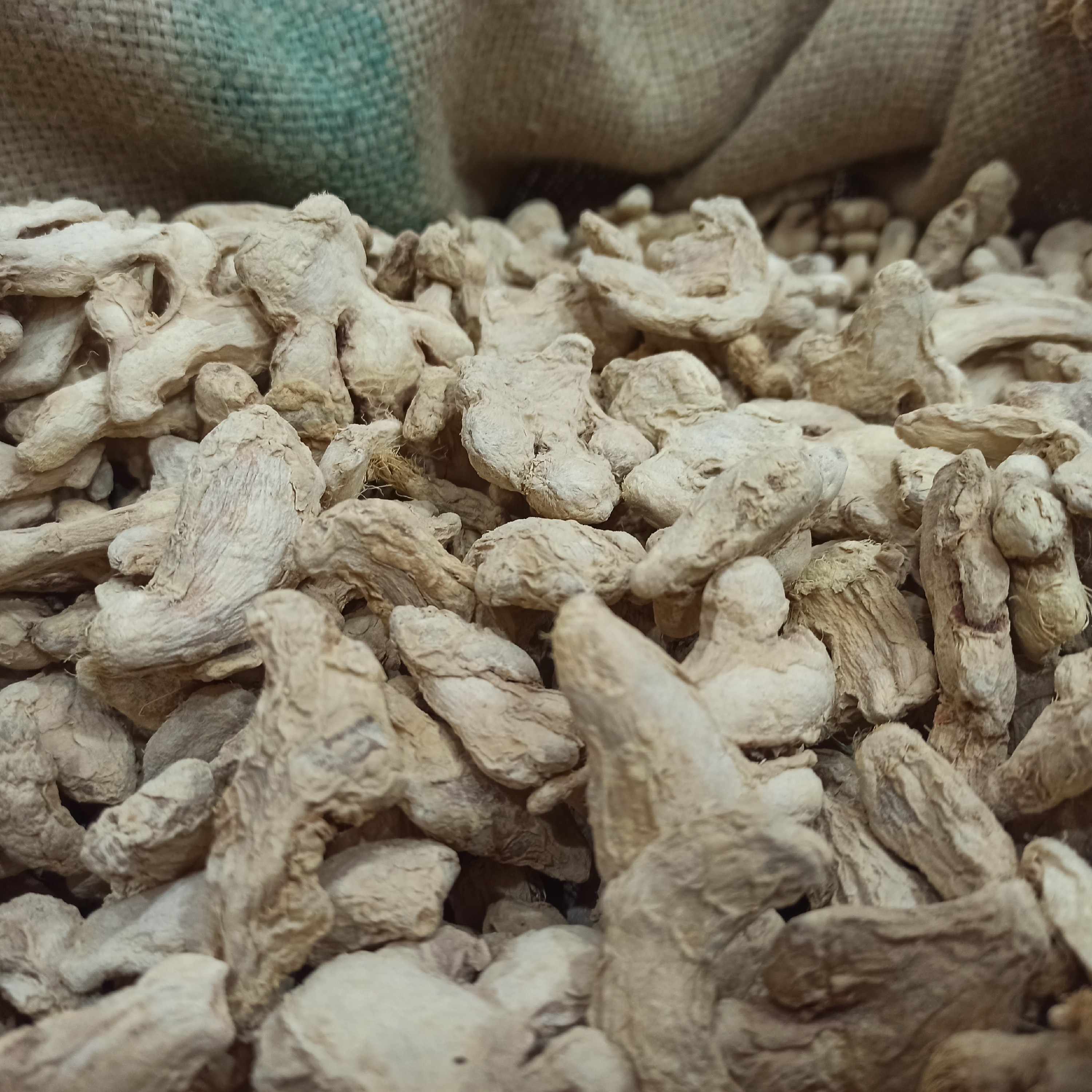 زنجفیل قلم خشک اعلی 100 گرمی