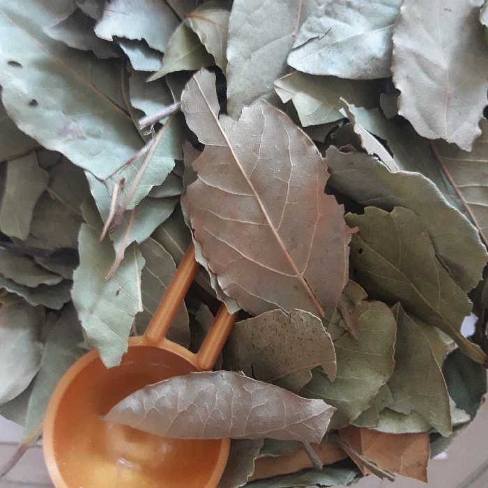 برگ بو خشک ممتاز(بسته 100 گرمی)