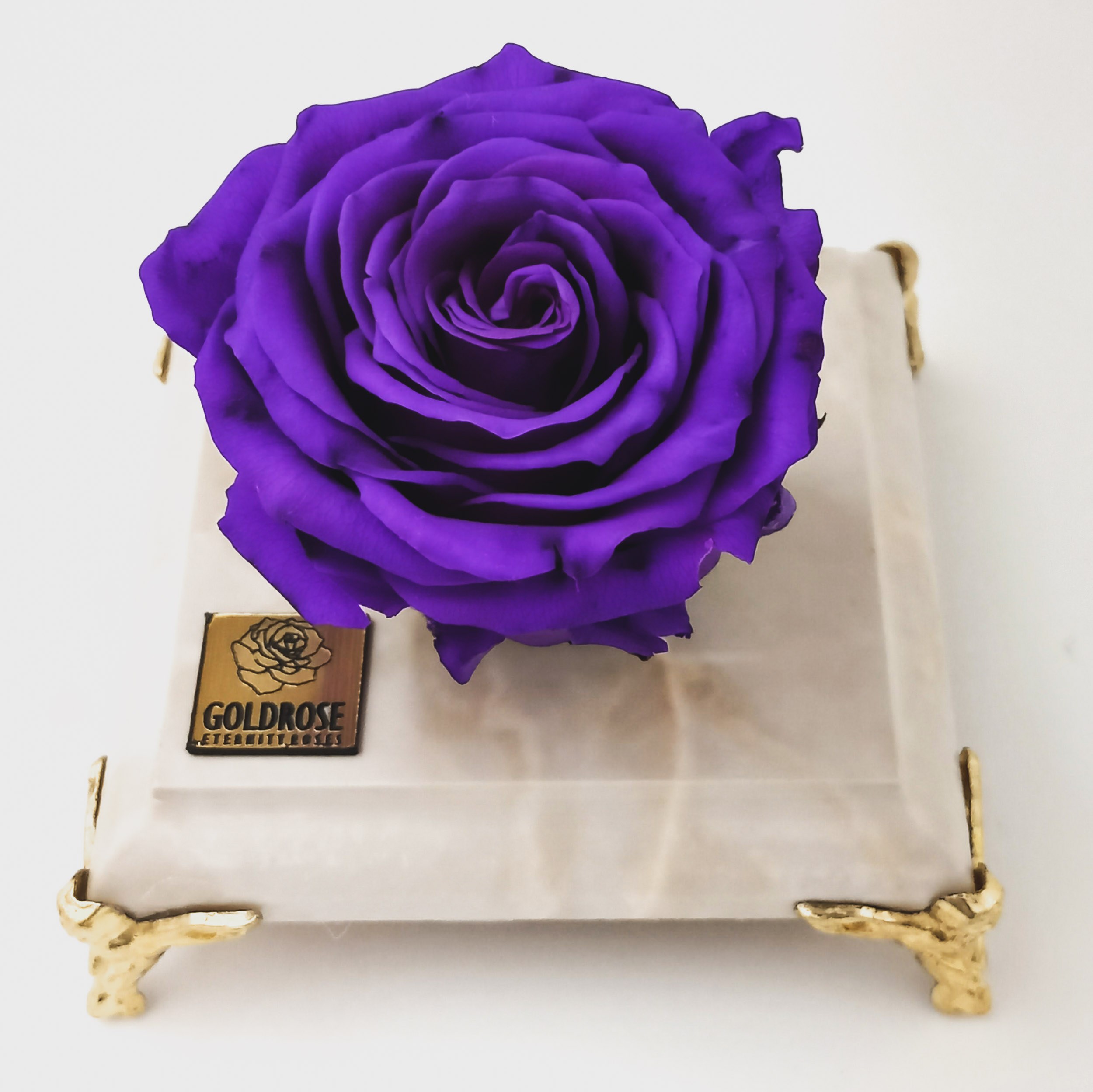 گل رز جاودان بنفش معطر  همراه با پایه طرح سنگ سفید 