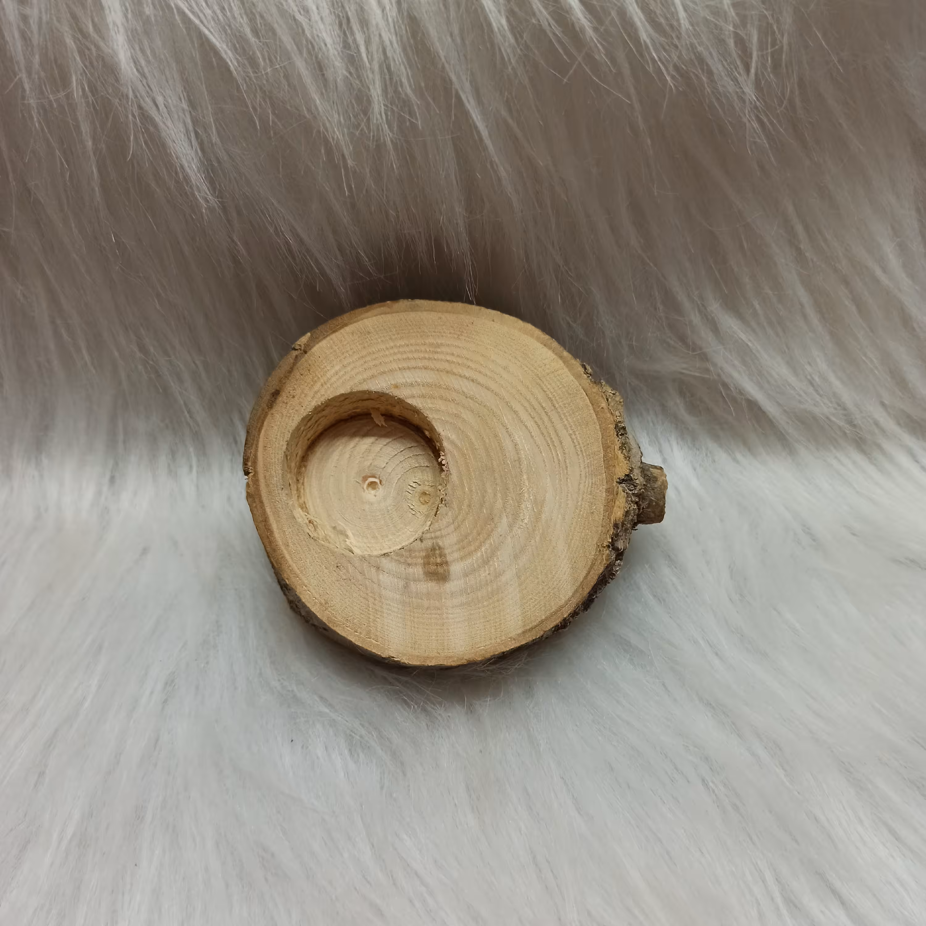 تنه درخت وارمردار  جا شمعی چوبی 