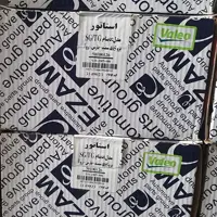 بالشتک دینام پژو 405 پارس سمند عظام استاتور دینام اصلی استام صنعت
