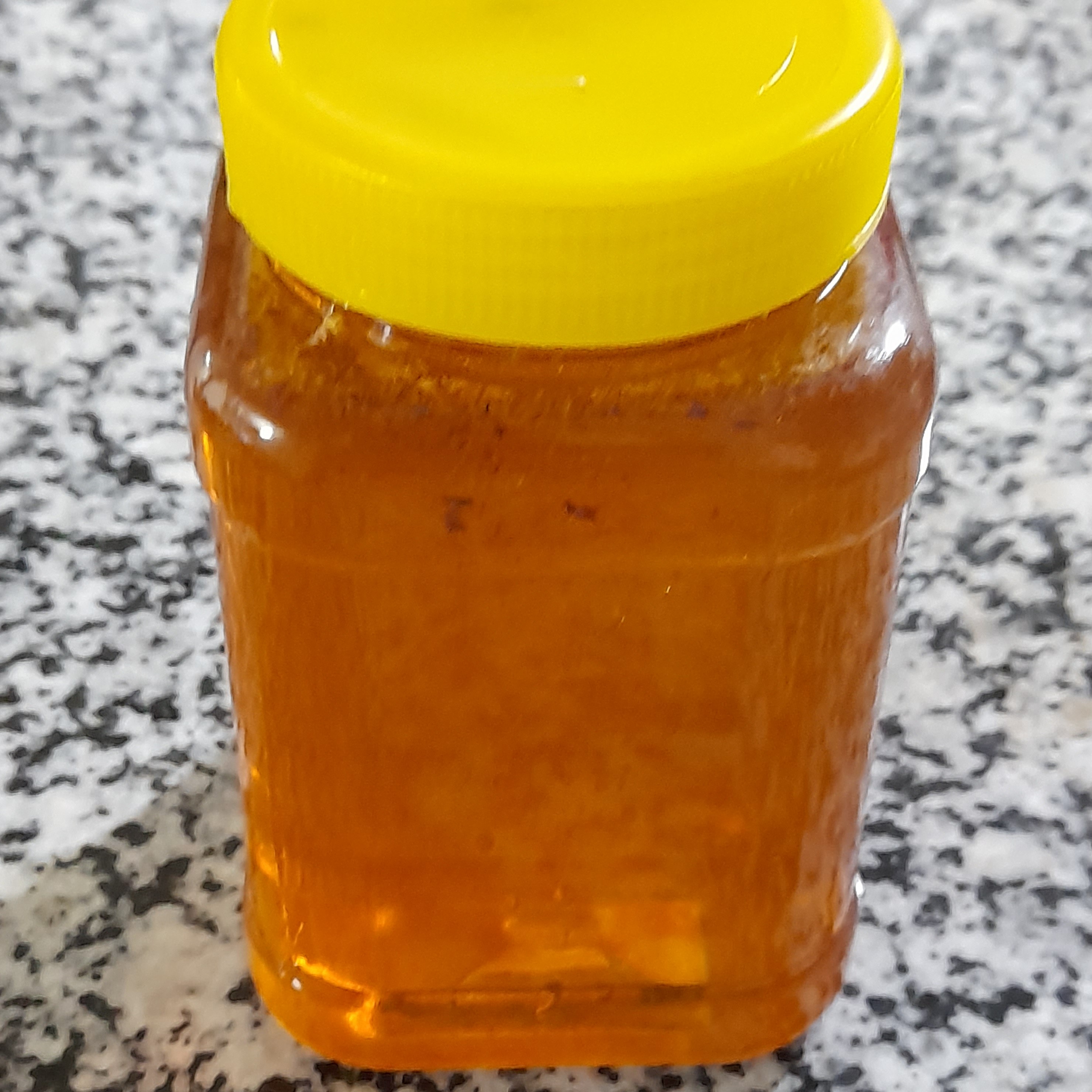 عسل کوهی (1کیلویی )
