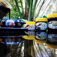 شیره خرما (شرکت ایدا ویدا)
بسیار مقوی برای صبحانه و عصرانه