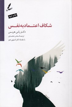 خرید کتاب شکاف اعتماد به نفس — کتابسرای طه