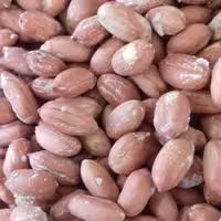 بادام زمینی آستانه اعلا  250 گرمی آجیل و خشکبار شفیعی 