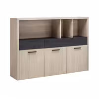 کمد اداری mor-11011