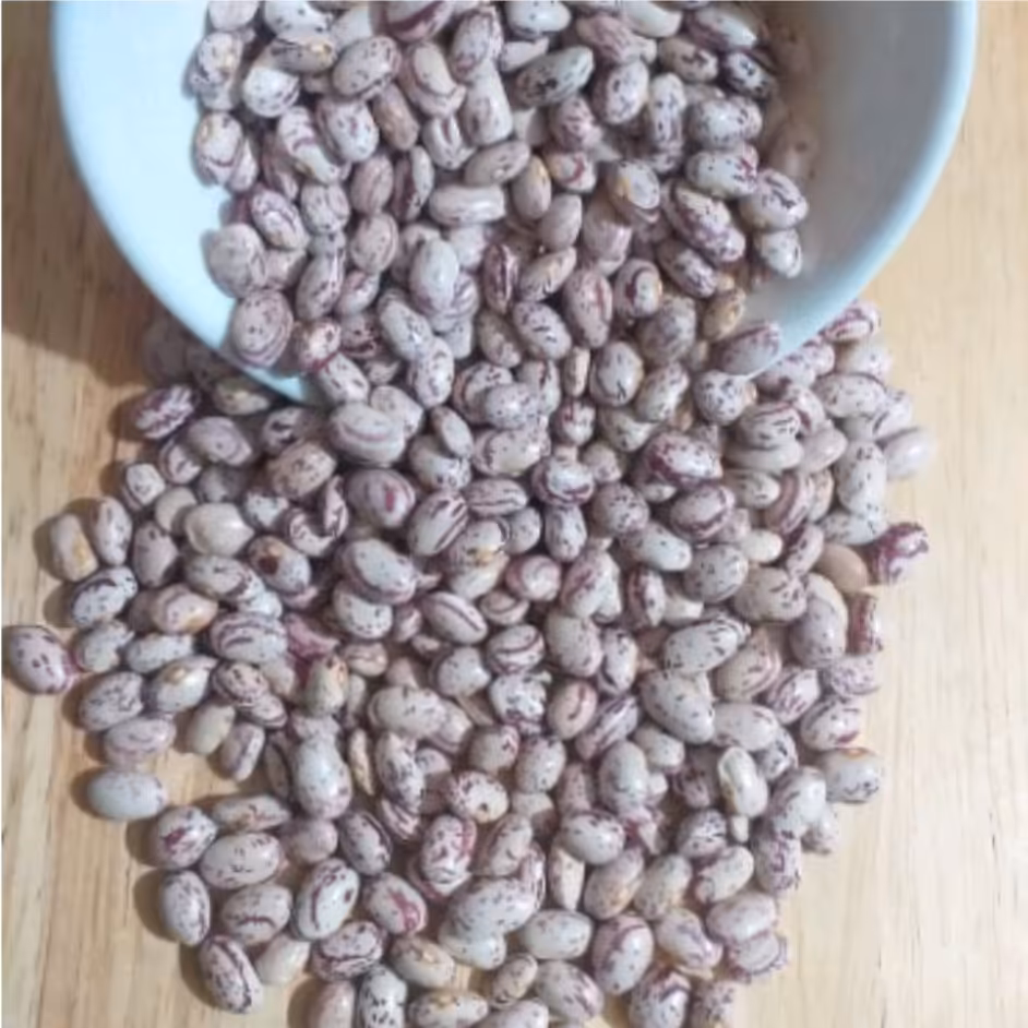 لوبیا چیتی یک کیلویی گرین