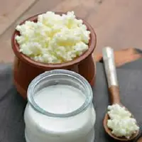 قارچ کفیر 45 گرمی با کیفیت عالی