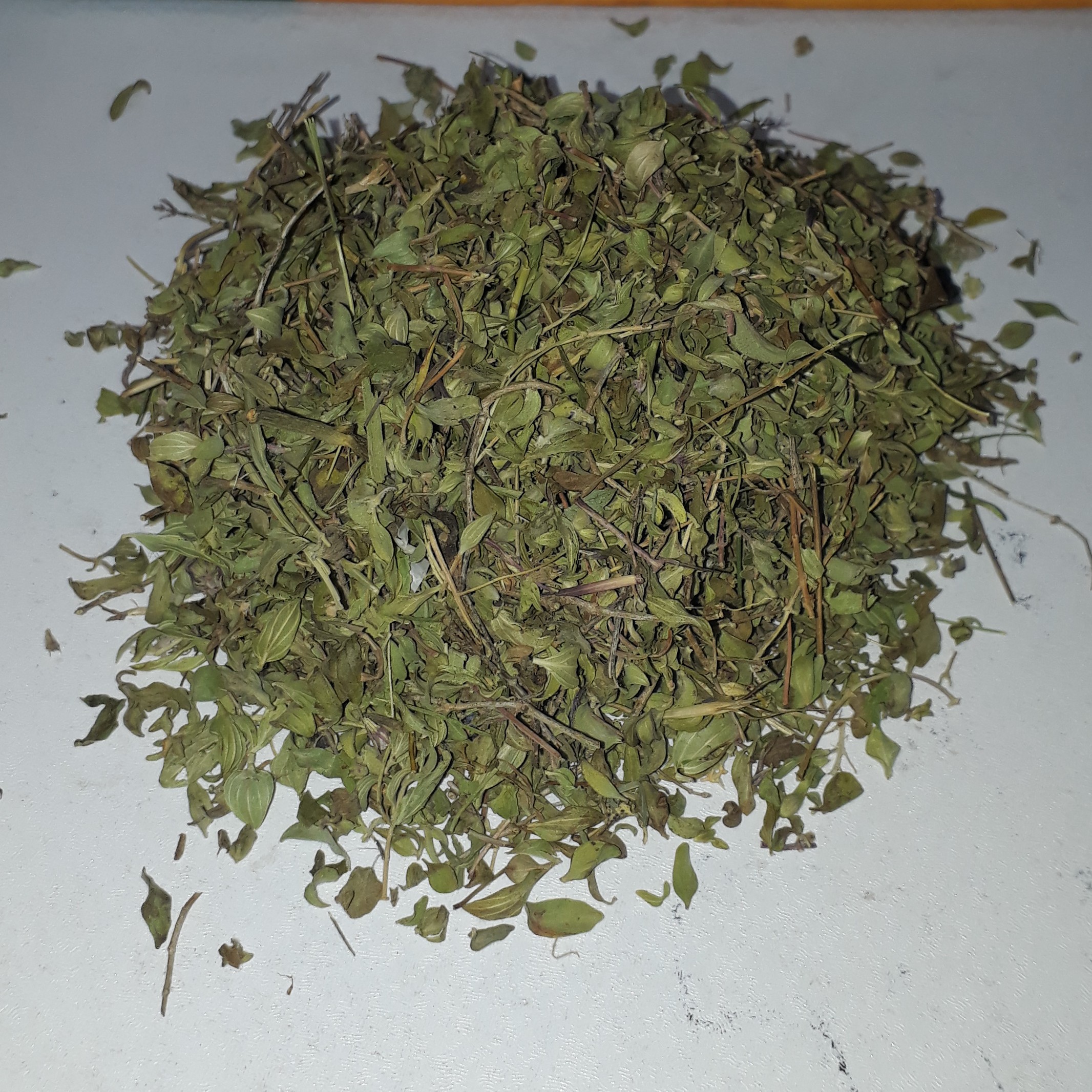 آویشن کوهی کم عطر 