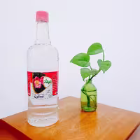 عرق نسترن میعاد (یک لیتری)