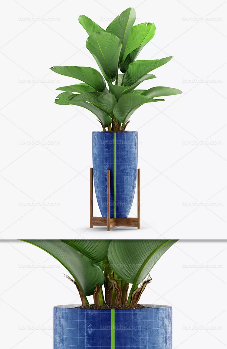 موکاپ طرح گلدان با کیفیت | گرافیک با طعم تربچه