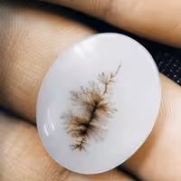 سنگ عقیق شجر کد45