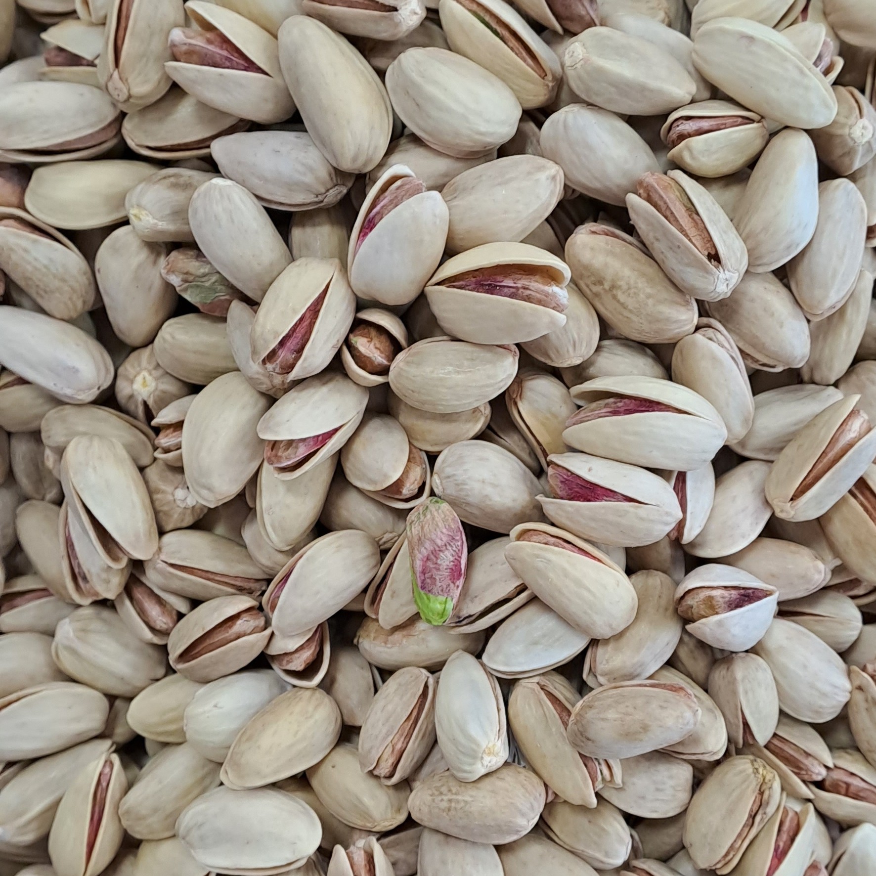 پسته اکبری خام دستچین