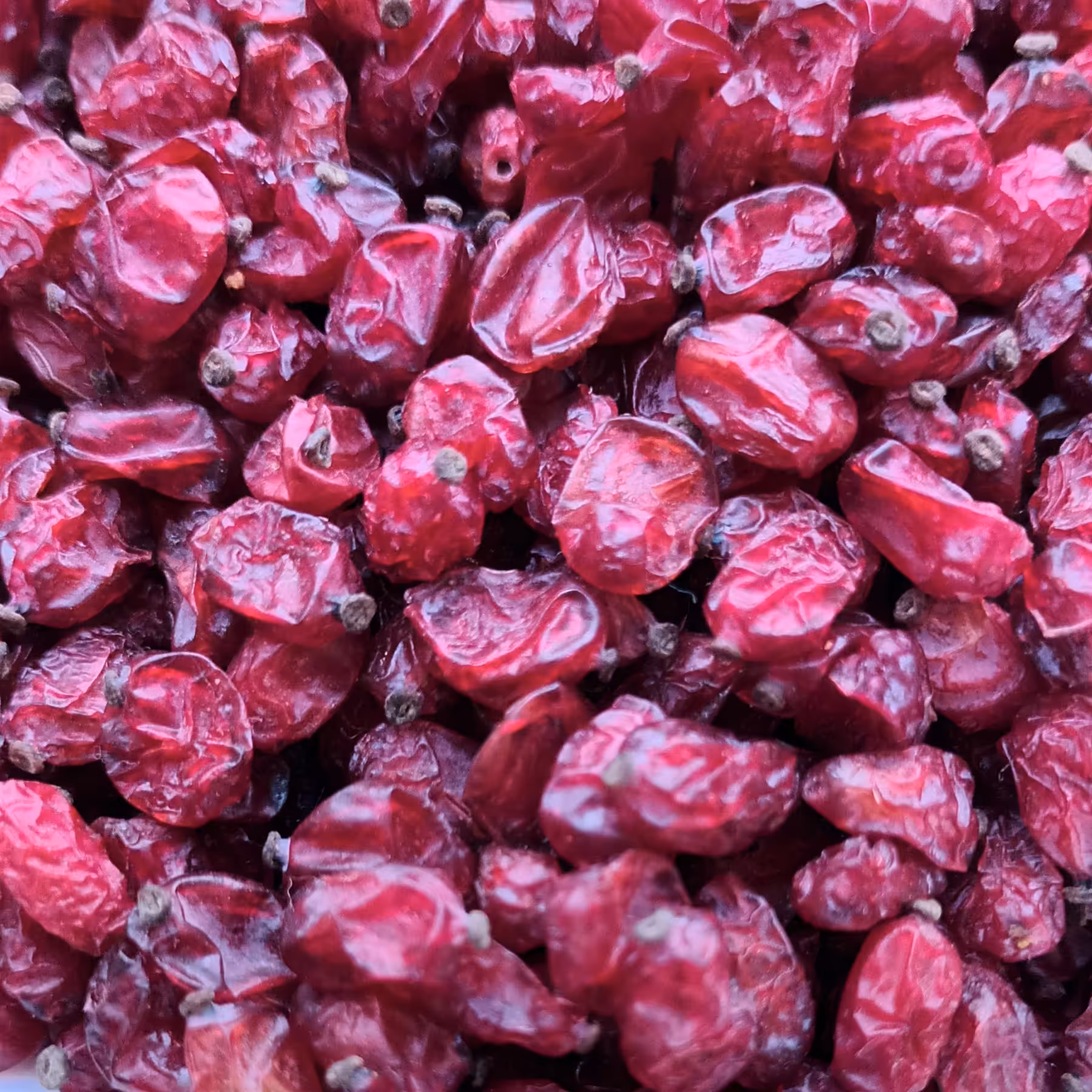 زرشک دانه اناری اعلا امسالی پاییز1403.یک کیلویی