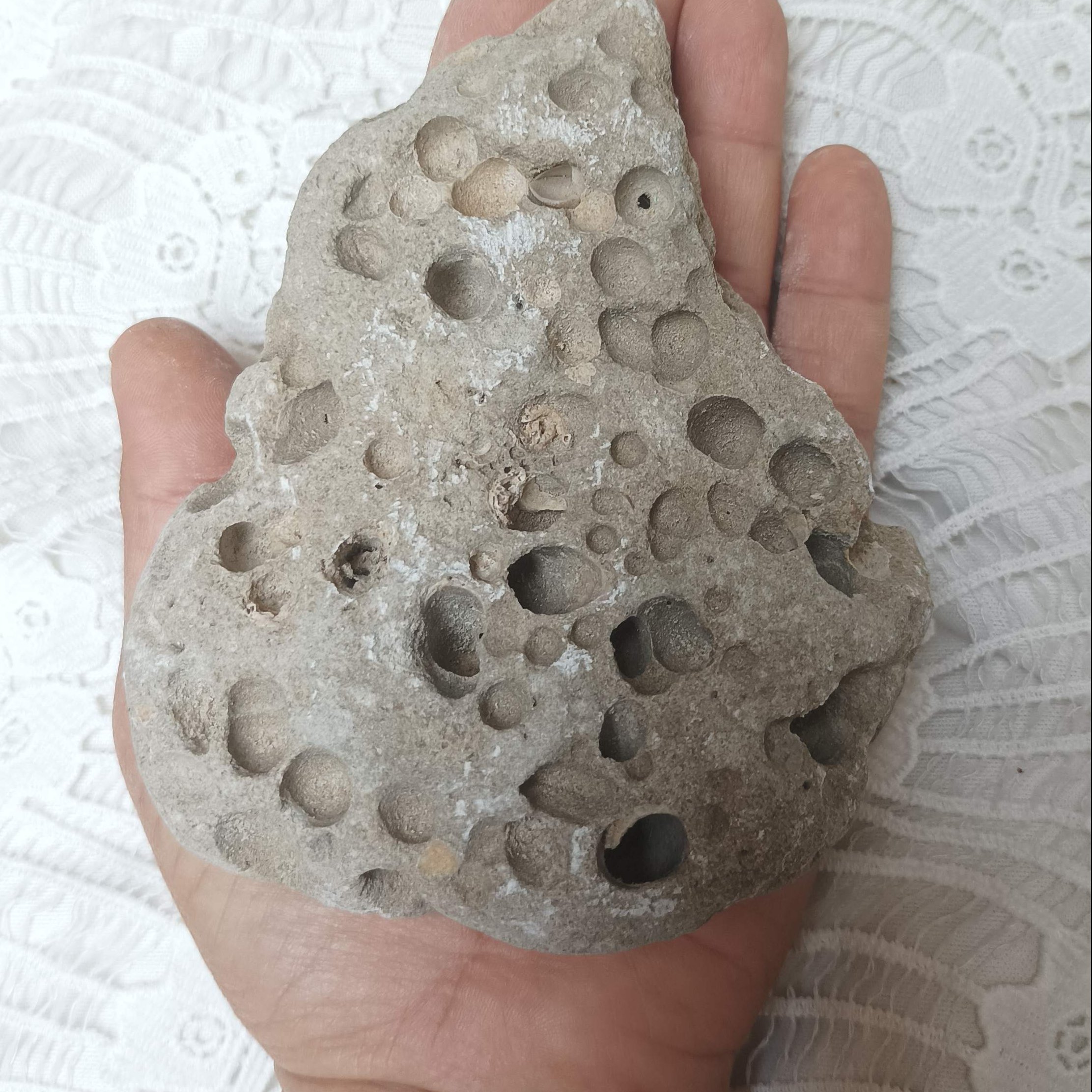 سنگهای حفره دار زیبای ساحل سرشار از انرژی برای تزینات ، دکوری، عکاسی و ویترین