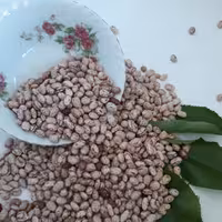 لوبیا چیتی امساله خوشپخت(2.7کیلو گرم)