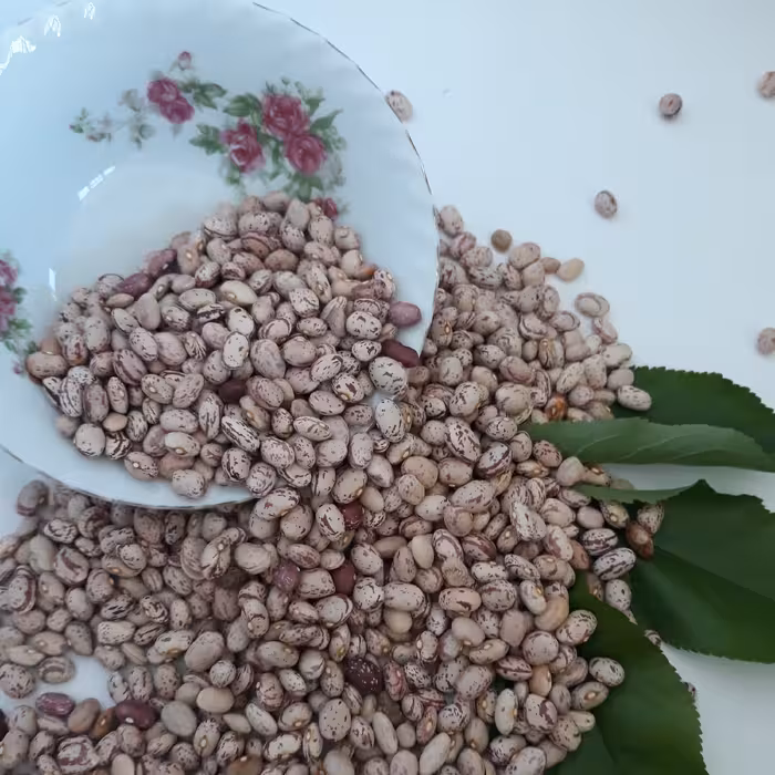 لوبیا چیتی امساله خوشپخت(2.7کیلو گرم)