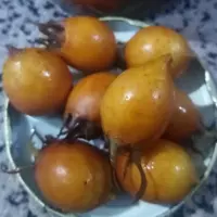 ازگیل شور(کونوس شور)
حدودا یک ساله
از دیار سرسبز و بهشت ایران اشکورات گیلان
غرفه به پخش لُرود